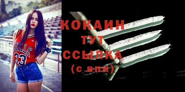 шишки Майский