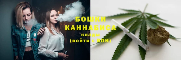 шишки Майский