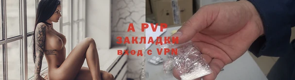 шишки Майский