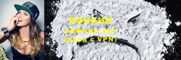 трава Магас