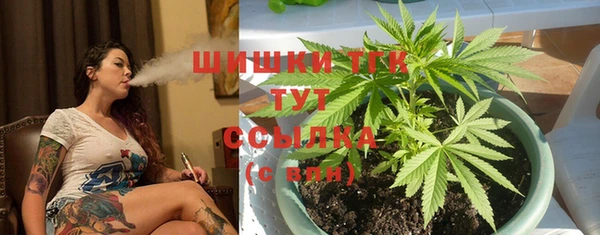 трава Магас