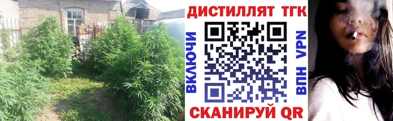 Дистиллят ТГК вейп с тгк где продают наркотики Юрга