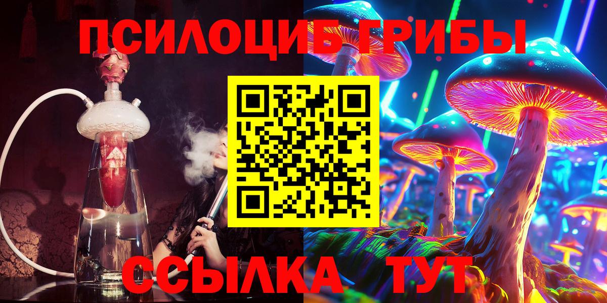 Галлюциногенные грибы Cubensis Юрга