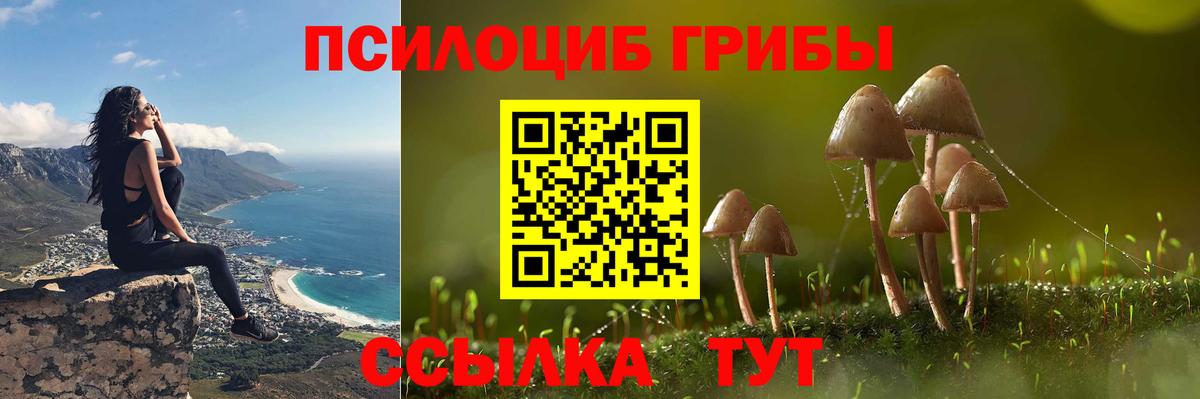 Юрга  Псилоцибиновые грибы Psilocybine cubensis  Галлюциногенные грибы мухоморы  Вход с VPN 